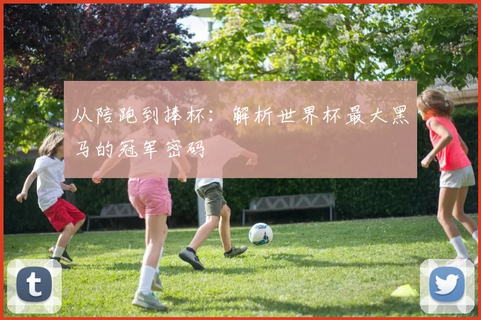 从陪跑到捧杯：解析世界杯最大黑马的冠军密码